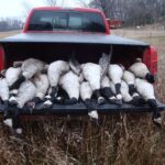 Waterfowl Hunted in Minnesota